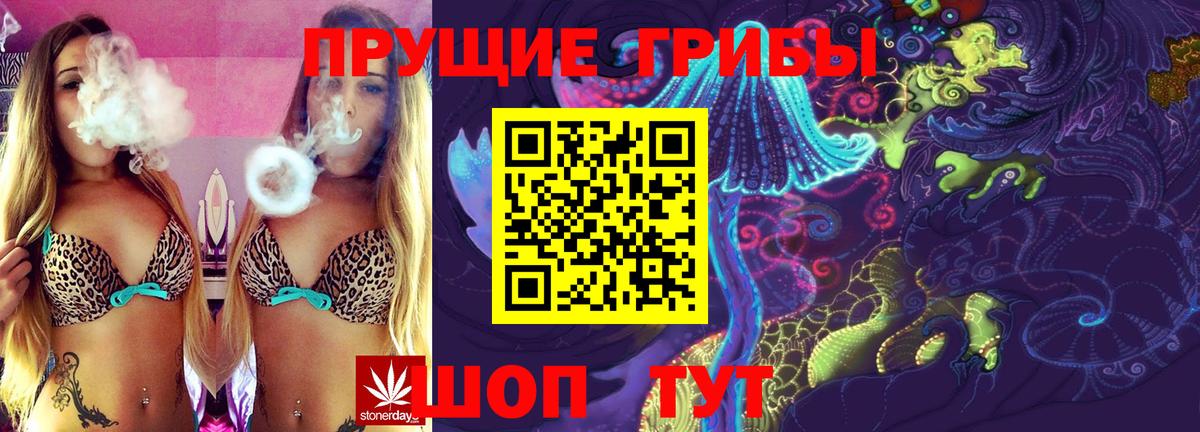 Галлюциногенные грибы Psilocybine cubensis  где продают   Юрга  Вход с VPN  Псилоцибиновые грибы прущие грибы 