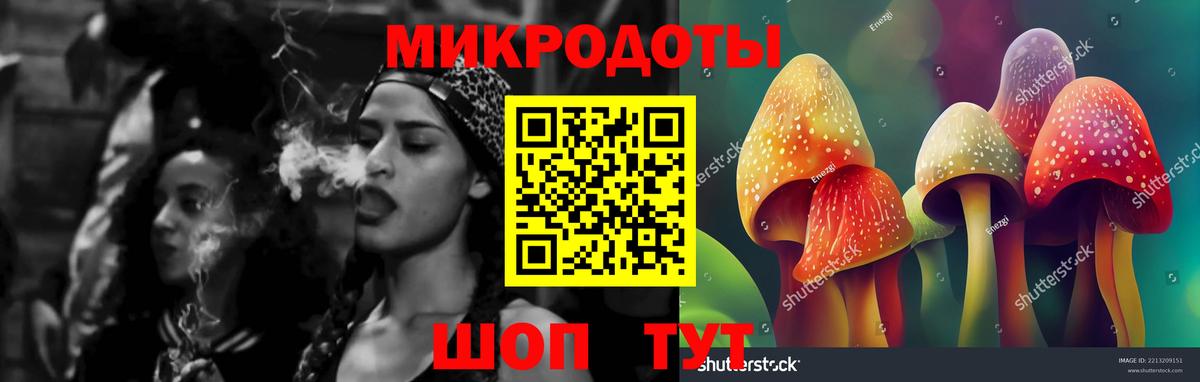 Псилоцибиновые грибы мухоморы Юрга
